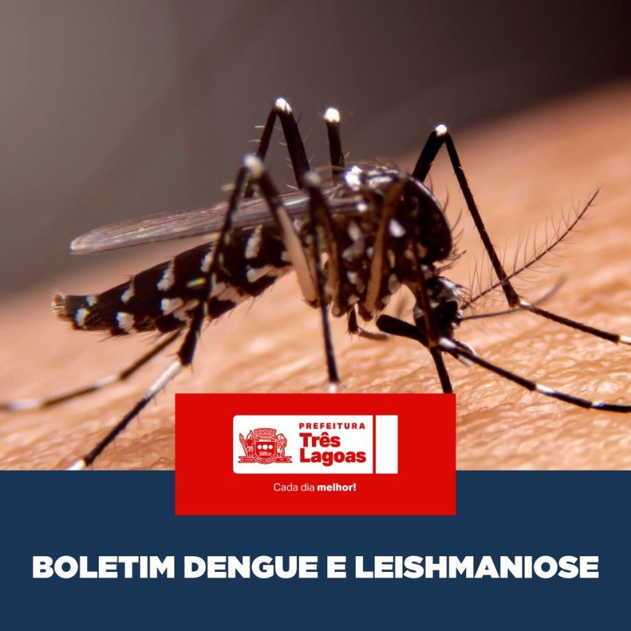 Boletim de Dengue e Leishmaniose em Três Lagoas: Dados de 27 de Maio de 2026