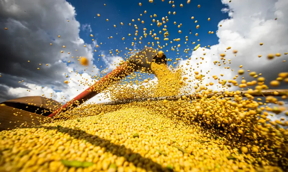 Brasil se aproxima da liderança e pode desbancar os EUA como maior exportador agrícola global