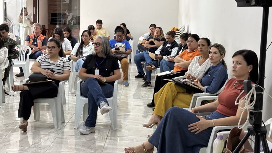 Comitê de Mobilização intensifica ações e define plano de blitz educativa contra o Aedes aegypti em Três Lagoas.