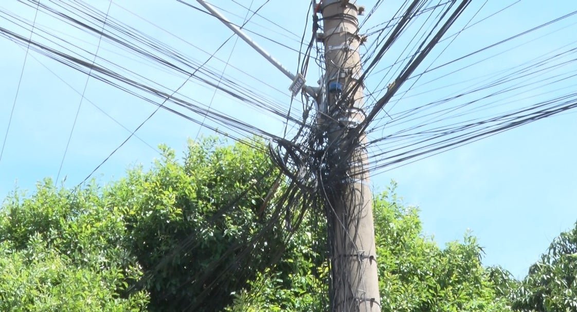 Árvore em Três Lagoas Causa Preocupação ao Encostar na Rede Elétrica