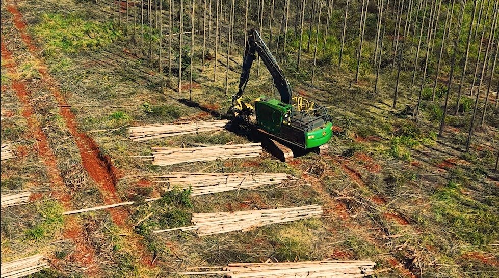 Arauco abre novas inscrições para qualificação de operadores e mecânicos de máquinas florestais em seis municípios de MS