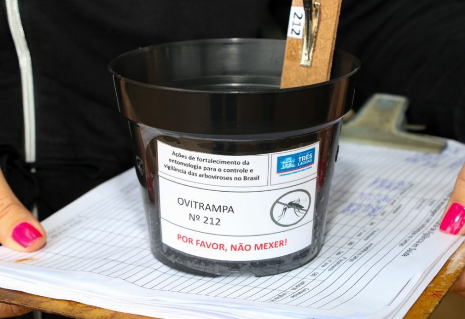 Prefeitura de Três Lagoas disponibiliza painel de ovitrampas com dados atualizados mensalmente sobre o Aedes aegypti