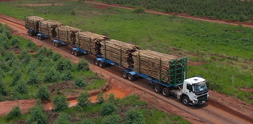 Hexatrens circularão somente em vias não pavimentadas e prometem diminuir tráfego de tritrens em rodovias de MS