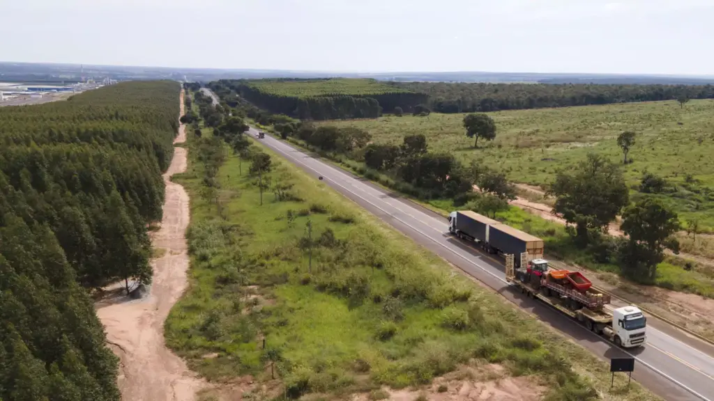 Estudo detalha prevenção ao HIV em cidades impactadas pela rota da celulose