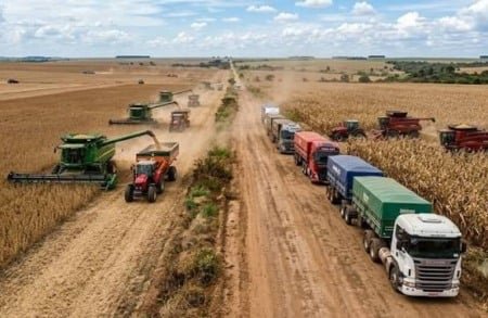 Estudo Aponta que Logística Ainda Encarece a Produção Agrícola em Mato Grosso do Sul