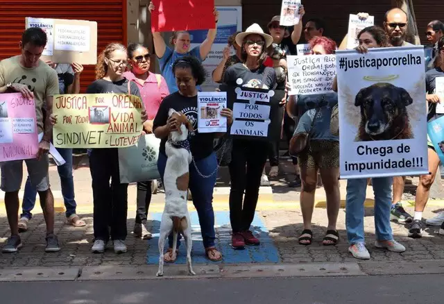 Novo decreto eleva multa por maus-tratos a animais para até R$ 1 milhão