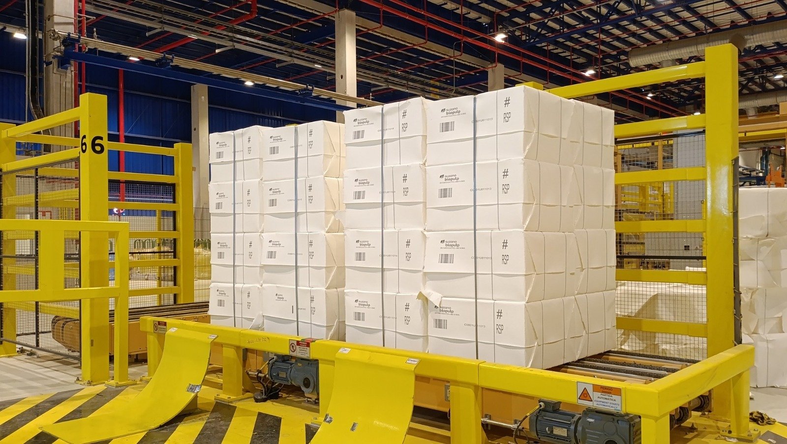 Celulose impulsiona agronegócio e MS lidera o crescimento no país