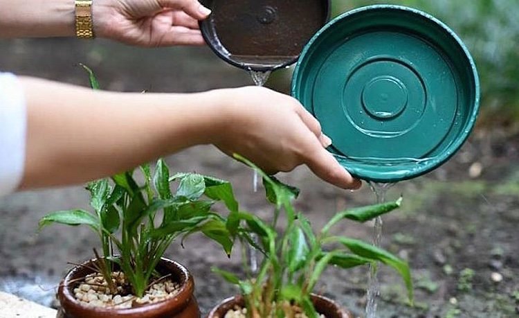 Prefeitura de TL intensifica ações de combate à dengue, chikungunya e zika devido ao período de chuva