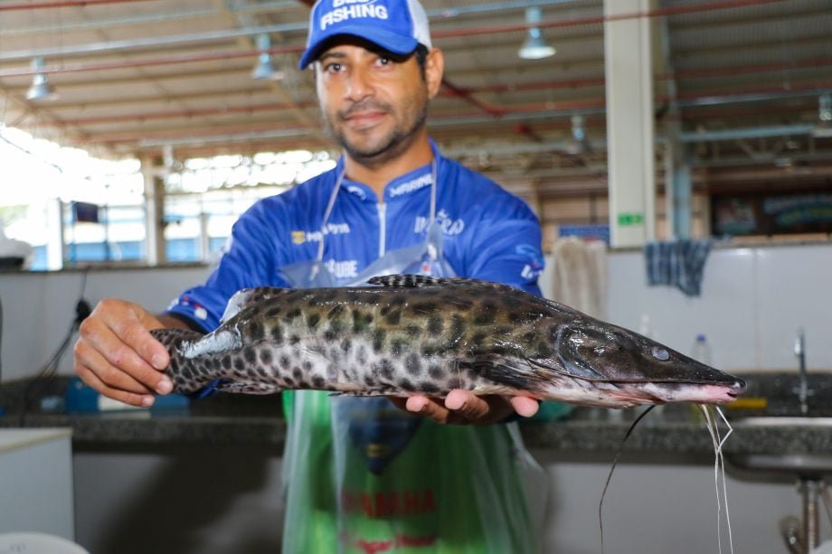 Feira do Peixe de Três Lagoas promete superar vendas na Semana Santa
