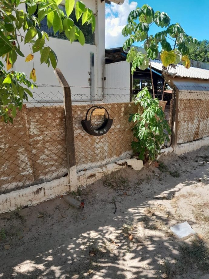 Larvitrampas intensificam o combate ao mosquito da dengue e auxiliam na prevenção de surtos em Três Lagoas